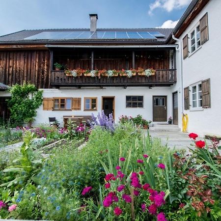 Ferienwohnung Lacherhof سيهاوسن ام ستافل المظهر الخارجي الصورة