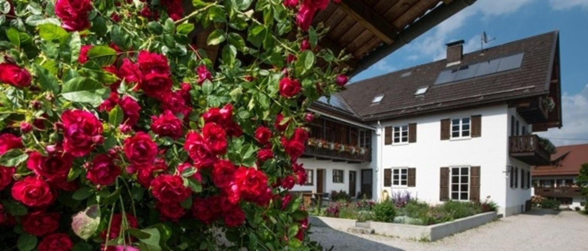 Ferienwohnung Lacherhof سيهاوسن ام ستافل المظهر الخارجي الصورة